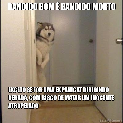BANDIDO BOM � BANDIDO MORTO EXCETO SE FOR UMA EX PANICAT DIRIGINDO
BEBADA, COM RISCO DE MATAR UM INOCENTE
ATROPELADO