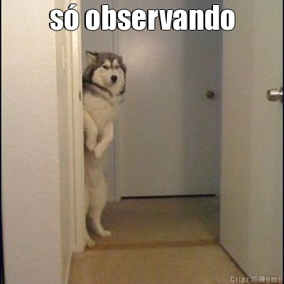 s� observando 