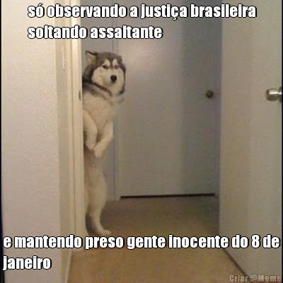 s� observando a justi�a brasileira
soltando assaltante e mantendo preso gente inocente do 8 de
janeiro