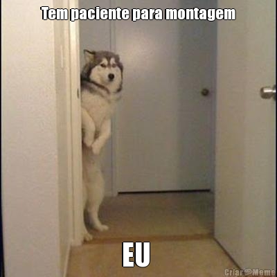 Tem paciente para montagem EU 