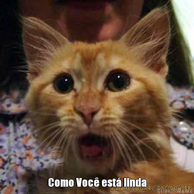  Como Voc� est� linda