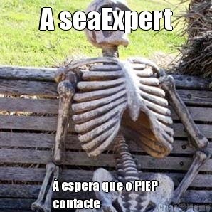 A seaExpert � espera que o PIEP
contacte