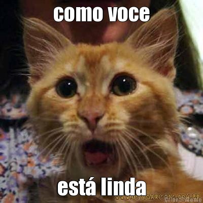 como voce est� linda