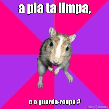 a pia ta limpa, e o guarda-roupa ?