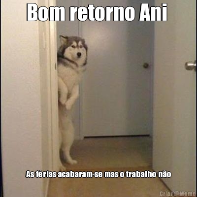 Bom retorno Ani  As f�rias acabaram-se mas o trabalho n�o
