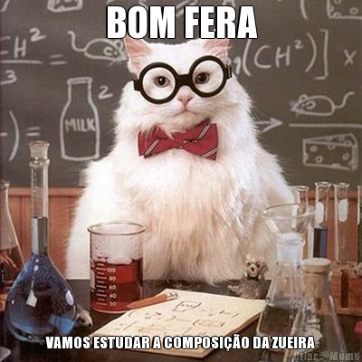 BOM FERA VAMOS ESTUDAR A COMPOSI��O DA ZUEIRA