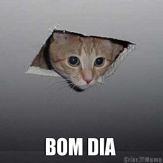  BOM DIA 