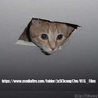  https://www.mediafire.com/folder/jx5f3coug17nv/VEG_Files