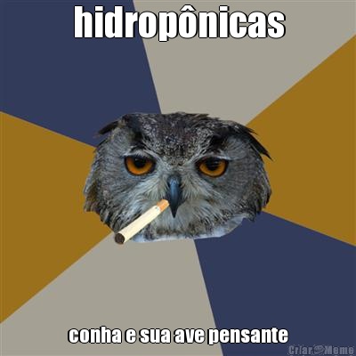 hidrop�nicas conha e sua ave pensante