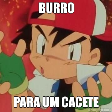 BURRO PARA UM CACETE