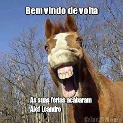 Bem vindo de volta As suas f�rias acabaram
Alef Leandro