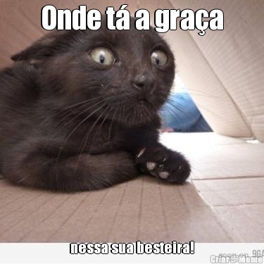 Onde t� a gra�a nessa sua besteira!