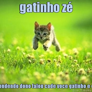 gatinho z� O gatinho z� estava se escondendo dono falou cade voce gatinho e o gato z� falou fui pro canio