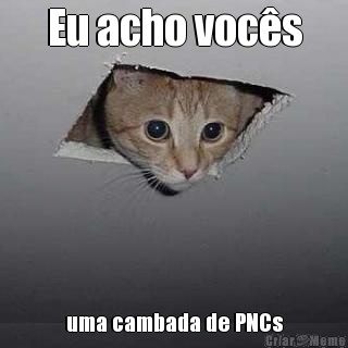 Eu acho voc�s uma cambada de PNCs