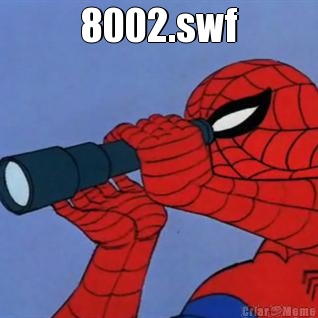 8002.swf 