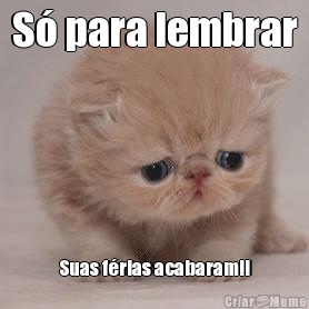 S� para lembrar Suas f�rias acabaram!!