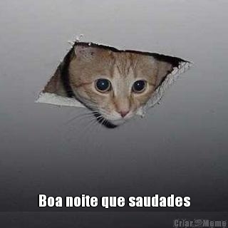  Boa noite que saudades