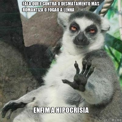 FALA QUE E CONTRA O DESMATAMENTO MAS
ROMANTIZA O FOGAO A LENHA ENFIM A HIPOCRISIA