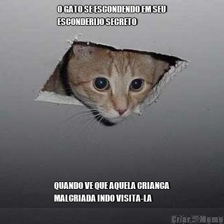 O GATO SE ESCONDENDO EM SEU
ESCONDERIJO SECRETO QUANDO VE QUE AQUELA CRIANCA
MALCRIADA INDO VISITA-LA