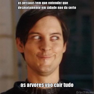 as pessoas tem que entender que
desmatamento em cidade nao da certo as arvores vao cair tudo