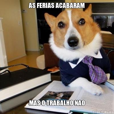 AS FERIAS ACABARAM MAS O TRABALHO NAO