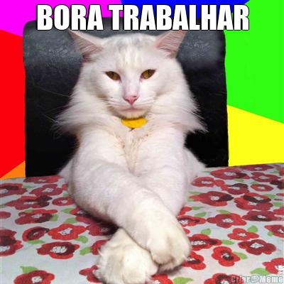 BORA TRABALHAR 