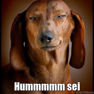  Hummmmm sei