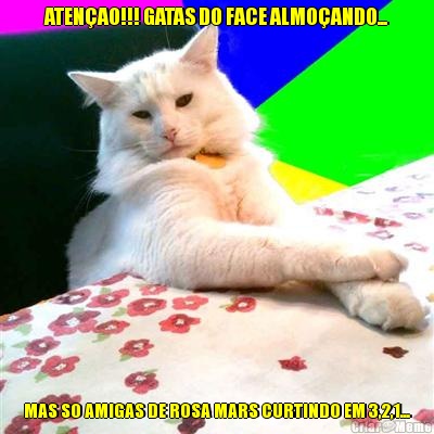 ATEN�AO!!! GATAS DO FACE ALMO�ANDO... MAS SO AMIGAS DE ROSA MARS CURTINDO EM 3,2,1...