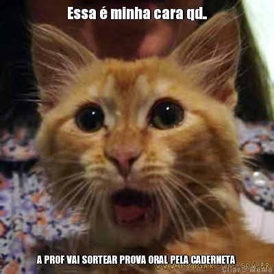 Essa � minha cara qd.. A PROF VAI SORTEAR PROVA ORAL PELA CADERNETA