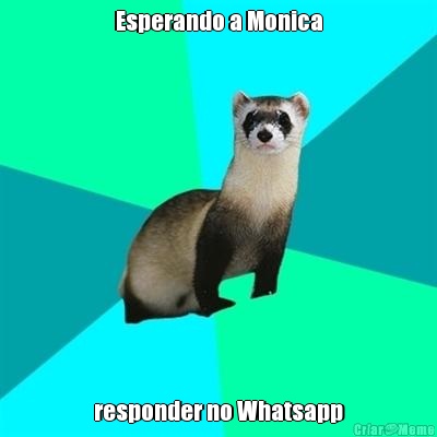 Esperando a Monica responder no Whatsapp