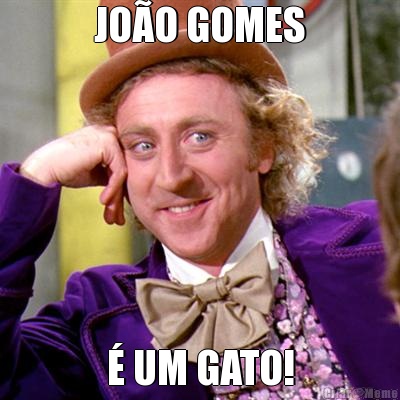 JO�O GOMES � UM GATO!
