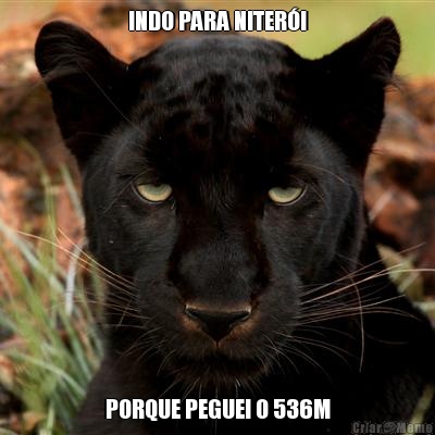 INDO PARA NITER�I PORQUE PEGUEI O 536M