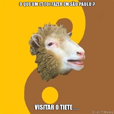 O QUE UM ET FOI FAZER EM S�O PAULO ? VISITAR O TIETE . . . 