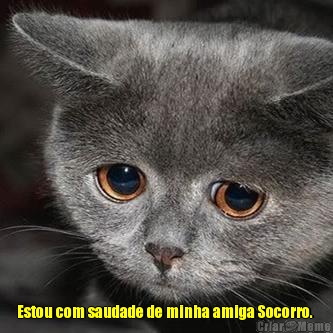  Estou com saudade de minha amiga Socorro. 