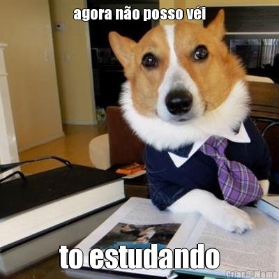 agora n�o posso v�i to estudando