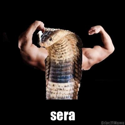  sera