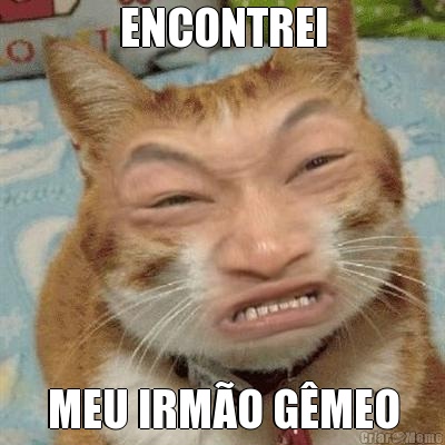 ENCONTREI MEU IRM�O G�MEO