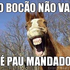 O BOC�O N�O VAI � PAU MANDADO