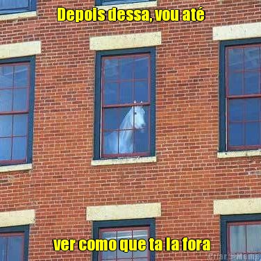 Depois dessa, vou at�  ver como que ta la fora