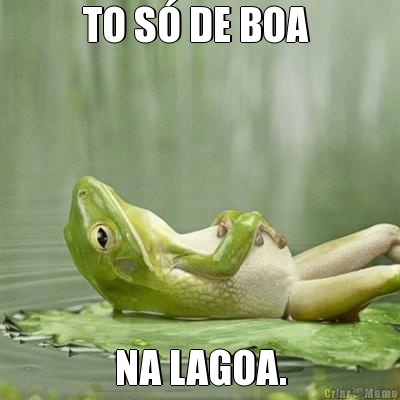 TO S� DE BOA  NA LAGOA.