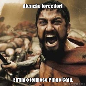 Aten��o torcedor! Enfim o teimoso Pingo Caiu.