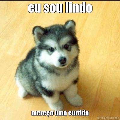eu sou lindo mere�o uma curtida