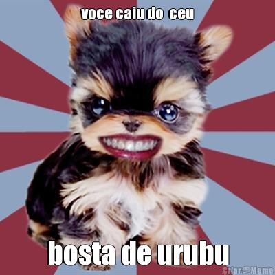 voce caiu do  ceu bosta de urubu