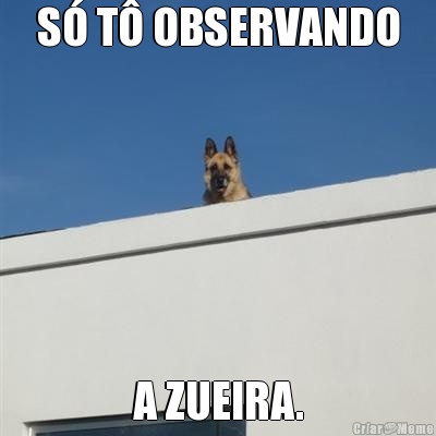 S� T� OBSERVANDO A ZUEIRA.