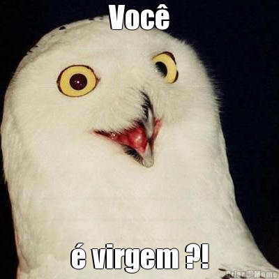 Voc� � virgem ?!